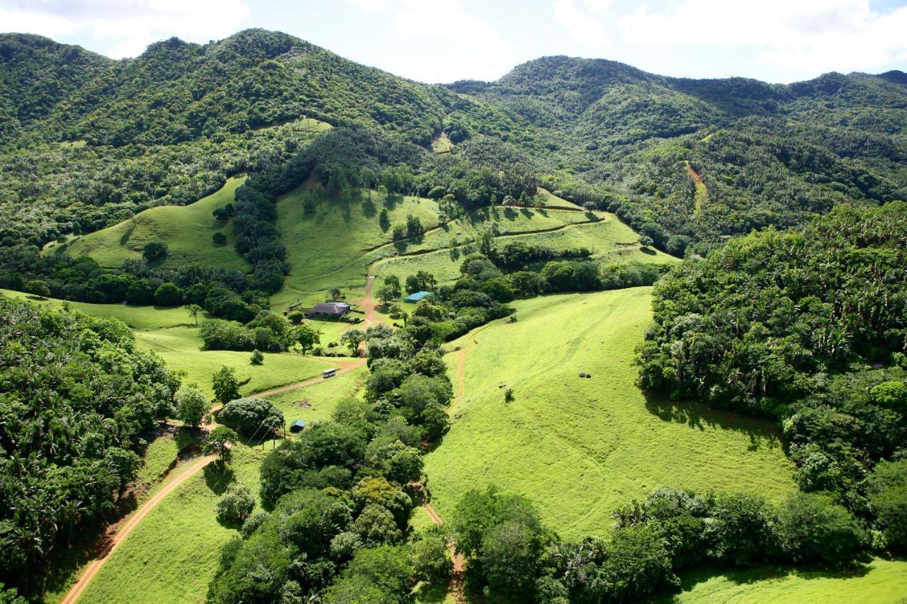 Ferney Nature Lodge Mahebourg Ngoại thất bức ảnh