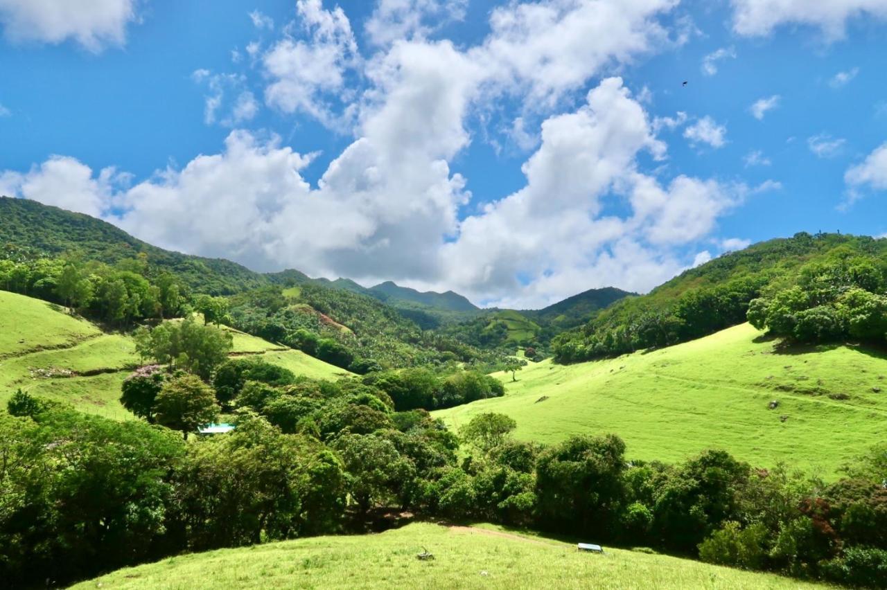 Ferney Nature Lodge Mahebourg Ngoại thất bức ảnh